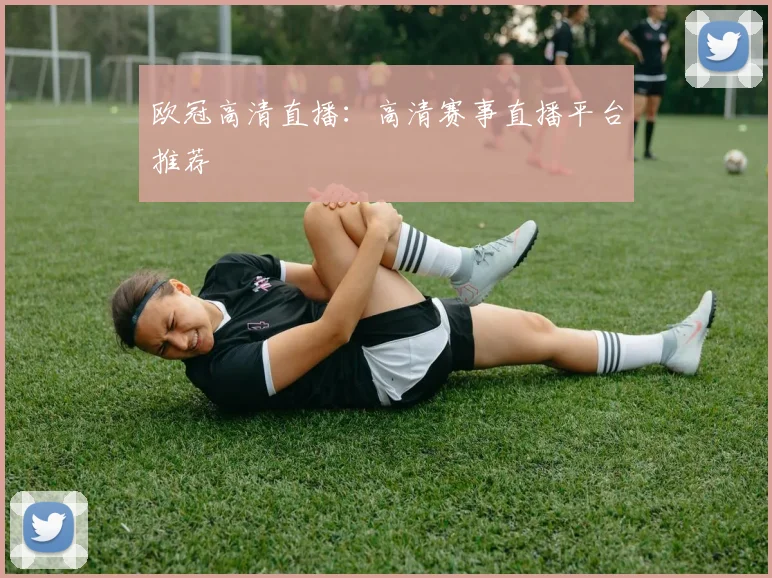 欧冠高清直播：高清赛事直播平台推荐