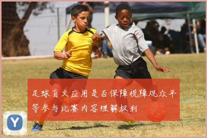 足球盲文应用是否保障视障观众平等参与比赛内容理解权利