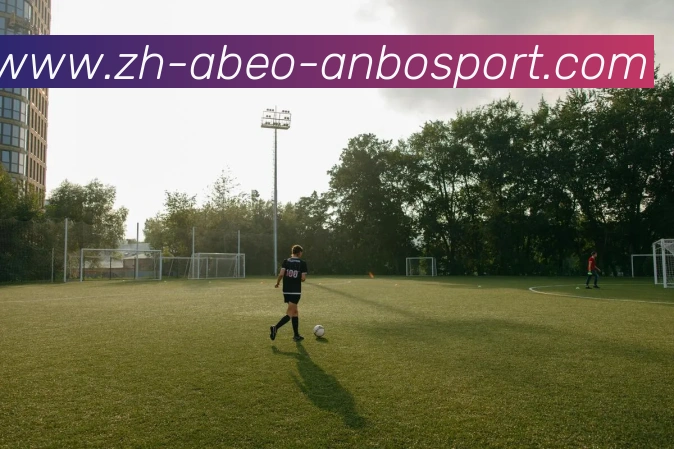 安博体育APP 封面图